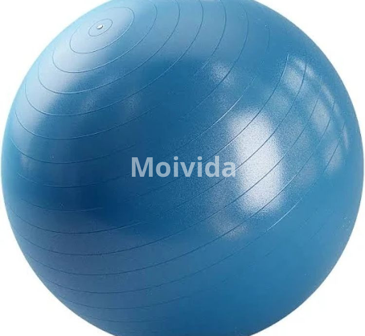 DOMYOS Swiss Ball Basic – Blue (Exercise Stability Ball for Core & Balance Training)