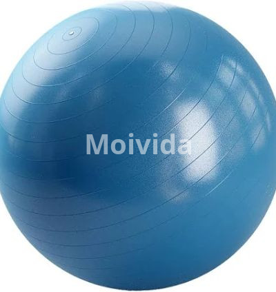 DOMYOS Swiss Ball Basic – Blue (Exercise Stability Ball for Core & Balance Training)