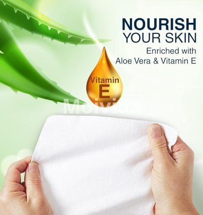 KareIn Bed Bath Wipes Pack of 6 Adult Antibacterial Sponge Bath Wipes